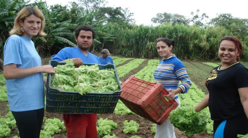 Agricultura Familiar nas Plataformas Digitais