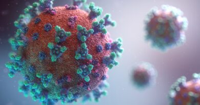 Pesquisadores do Laboratório de Imunogenética Molecular da Faculdade de Medicina de Ribeirão Preto – USP estudam edição gênica como possível forma de combate ao Coronavírus.
