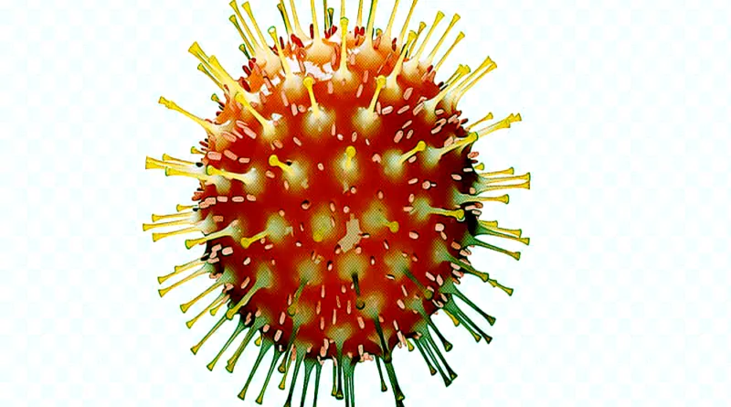 Tecnologia sequenciou coronavírus em 48 horas e pode monitorar epidemia em tempo real
