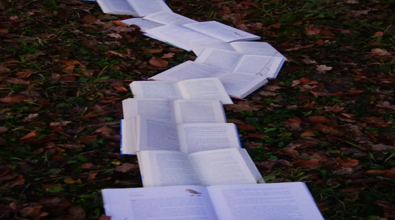 As revistas que valem ser lidas