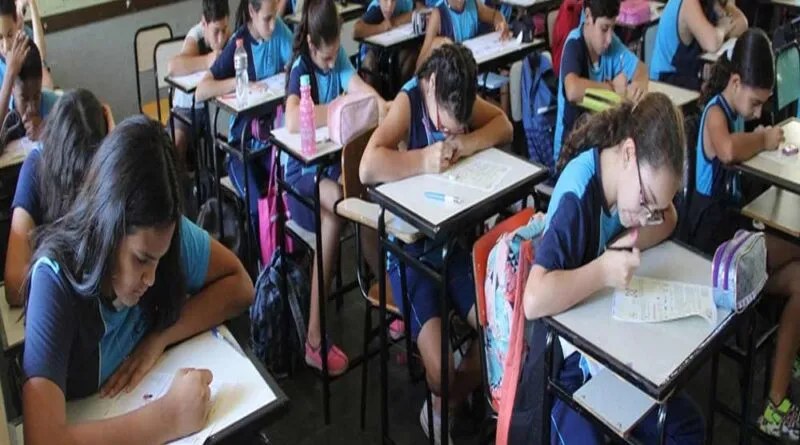 Universidades precisam formar educadores que sejam interdisciplinares