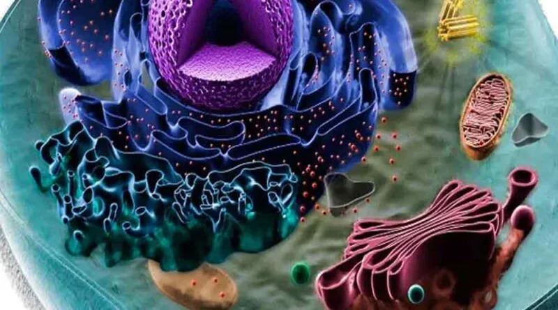 “BIOVIDEOLOGIA” Importa saber
