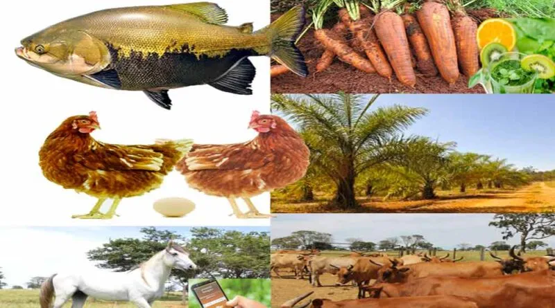 Embrapa Agroindústria de Alimentos
