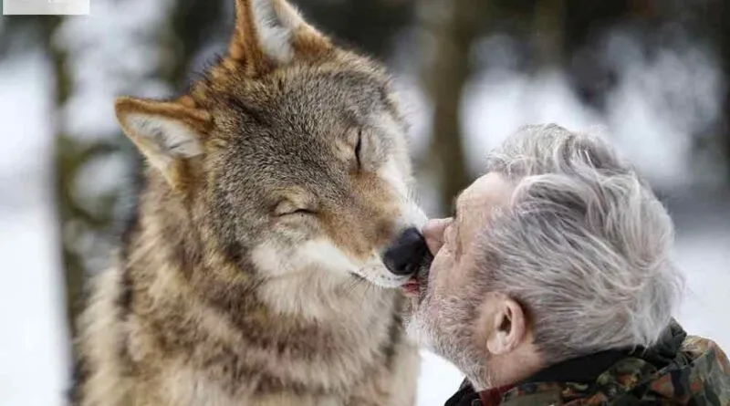 Sobre Cães e Humanos
