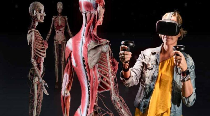 Realidade virtual e aulas de anatomia