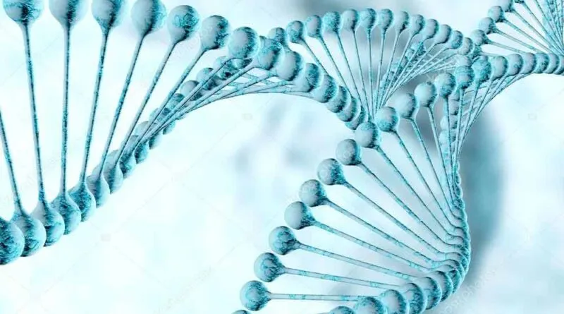 DNA Forense – Estilo CSI