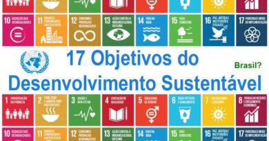 os 17 ODS do Milênios no Brasil