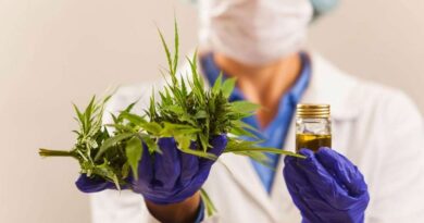Uso de Cannabis Medicinal em alta