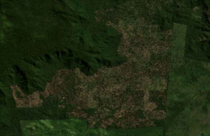 O Desmatamento no Brasil não Pára. 
Alerta de desmatamento de 23,70 km², identificado em maio, na região da Terra do Meio (PA).
