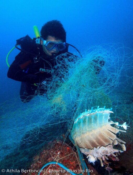 Mergulhador encontra carcaça/esqueleto de uma tartaruga presa a rede de pesca.
