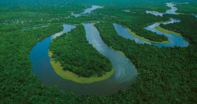 Os grandes rios da Amazônia (Foto: INPA)