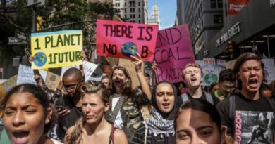 Jovens sistêmicos protestam (foto: https://news.northeastern.edu/tag/youth-activism/)