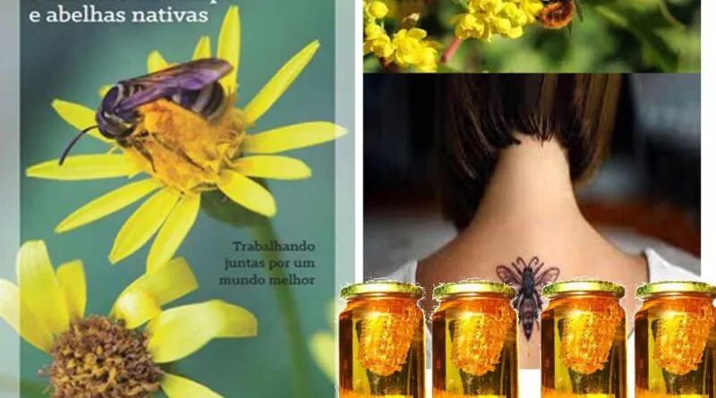 Empoderamento Feminino e Meliponicultura – Riquezas