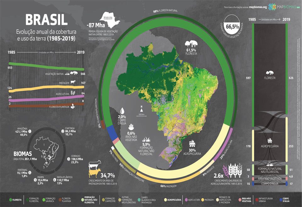 MapBioma e a situação da devastações florestais na Amazônia