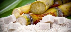 CAna de acúcar é parte da cultura integrada do país