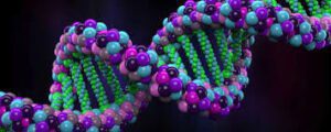 Genoma e Proteoma - avanços questionáveis