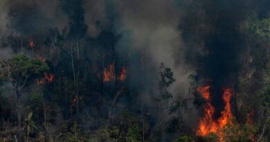 (Foto: Victor Moriyama) Amazônia em fogo