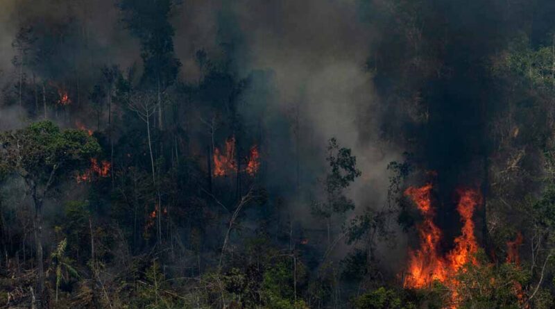 (Foto: Victor Moriyama) Amazônia em fogo