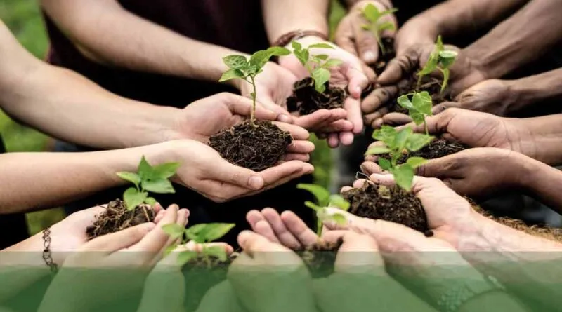 Aquecimento Global e Desigualdade Institucionalizada