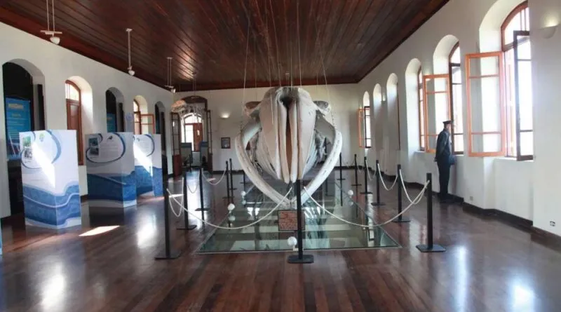 Museu da Pesca reabre em Santos