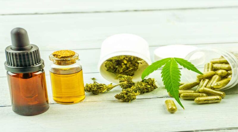 Cannabis Medicinal: Contra o Esgotamento