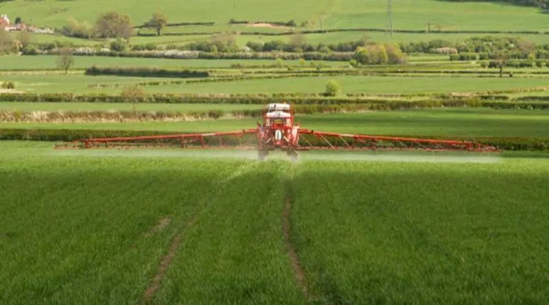 Alimentos Contaminados Sem Controle