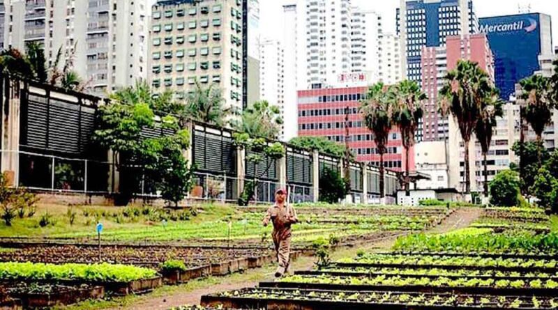 agritetura - hortas urbanas