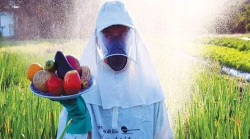 O “Coquetel” de Pesticidas Tóxicos