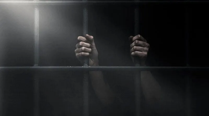 Educação – Caminhos da Liberdade