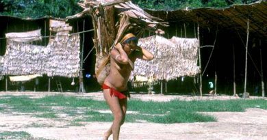 SOS Yanomami e outros irmãos