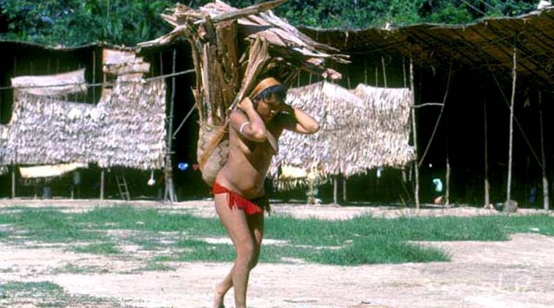 SOS Yanomami e outros irmãos