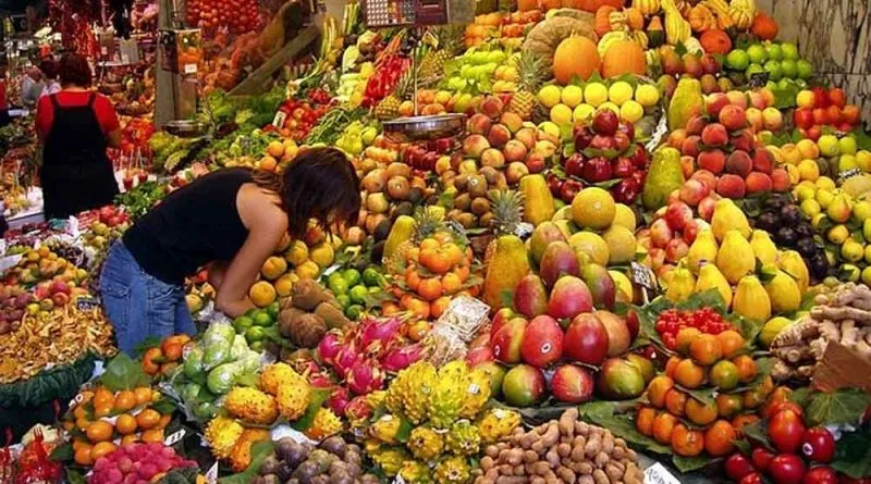 Meu Alimento me Alimenta?