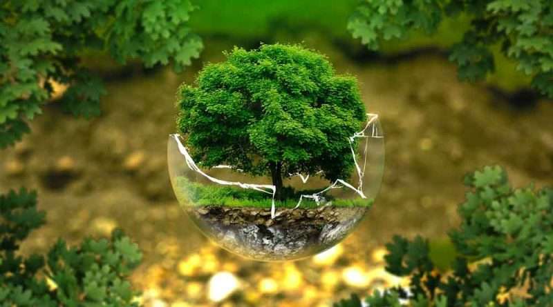 MUNDO Ambiente – Dia 5 de junho