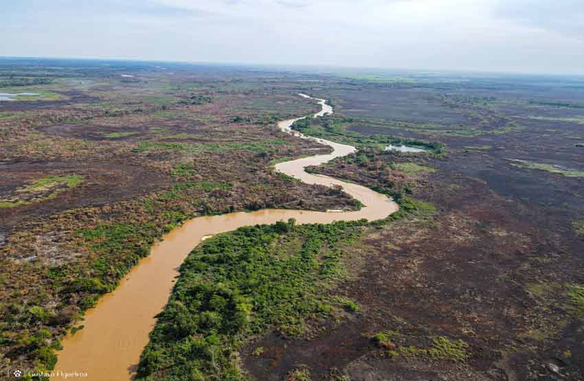 Chamas no Pantanal
