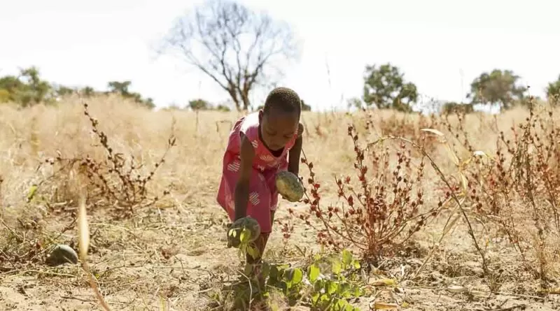 A Mudança Climática