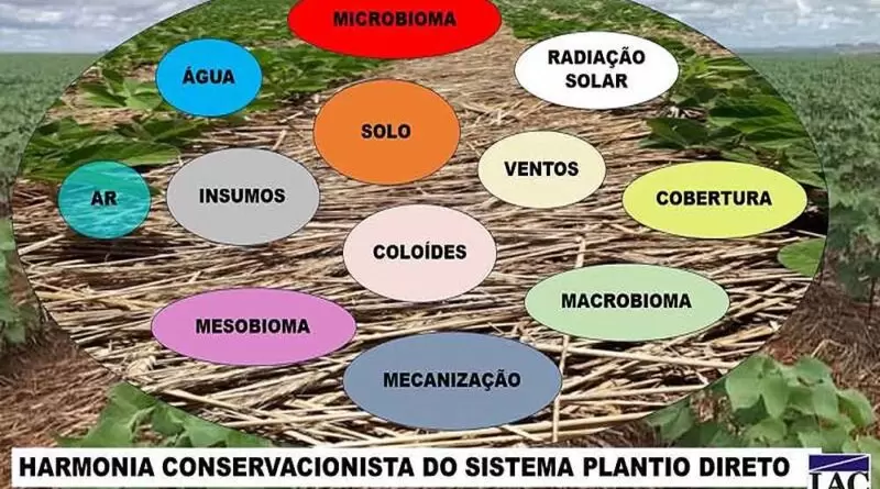 A Importância da Harmonia Conservacionista