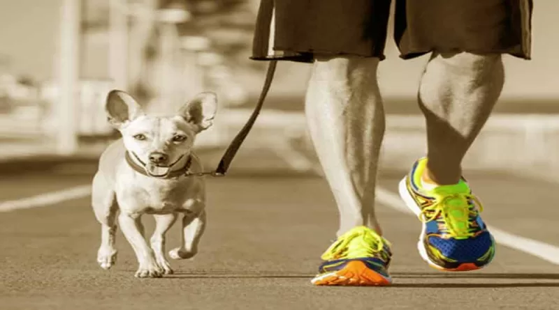 Pets do Futuro