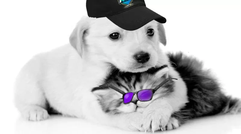 Tecnologia Ajuda Cuidar do Pet