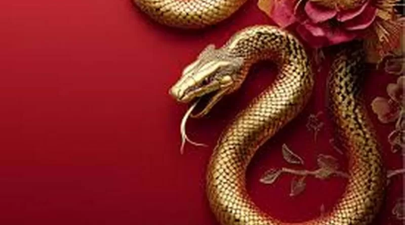 2025 – Ano da Serpente