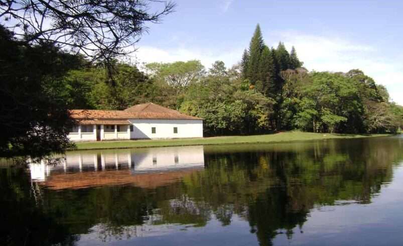 Perda de Biodiversidade por Ações Humanas