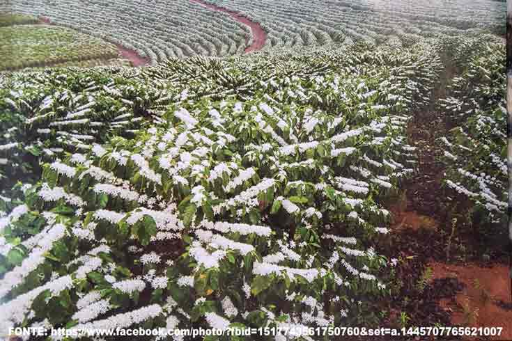 A Fruição da Agricultura