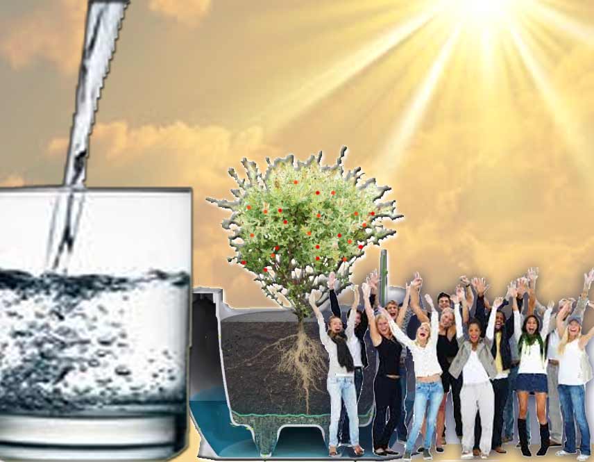 Ecoinovação e Inovação Ecológica em Agricultura