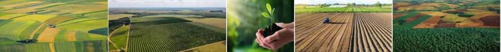 Ecoinovação e Inovação Ecológica em  Agricultura
