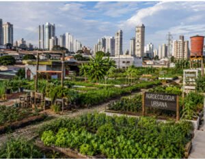 Agroecologia no Desenvolvimento Urbano