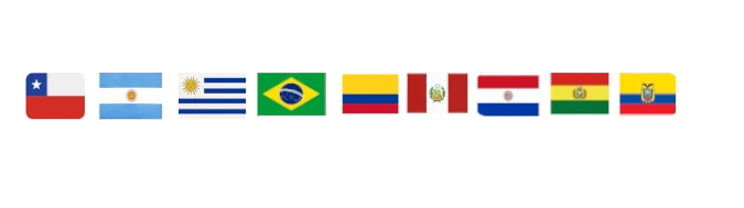 A Educação na América do Sul e o Brasil