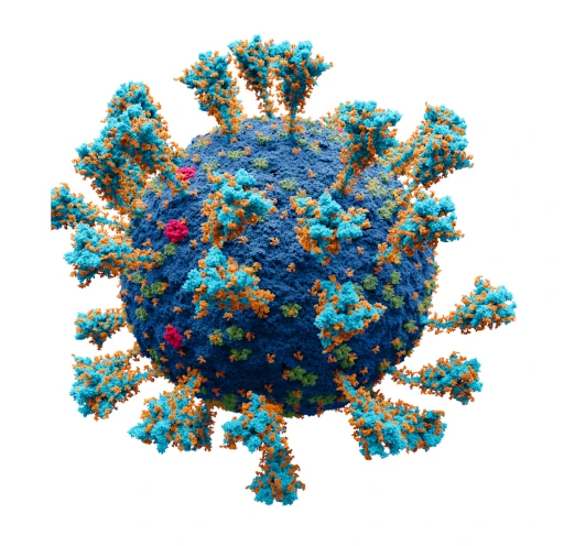 Negacionistas Tentam Reescrever História da Pandemia