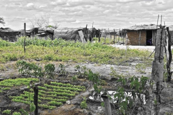 A Dignidade de Quem Trabalha a Terra