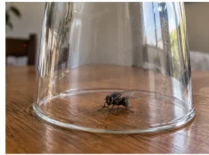 Até onde a IA pode Ajudar o Estudante?